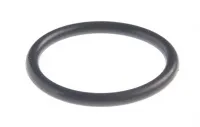 78118-YB4-004 Уплотнительное кольцо улитки WB30XT (белый бак)