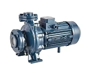 Насос центробежный моноблочный Purity PSTC 50-200/150